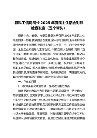 县科工信局局长2025年度民主生活会对照检查发言（五个带头）