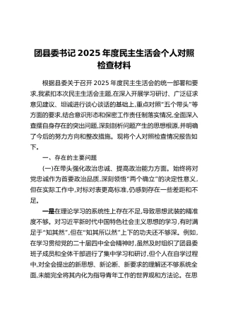团县委书记2025年度民主生活会个人对照检查材料