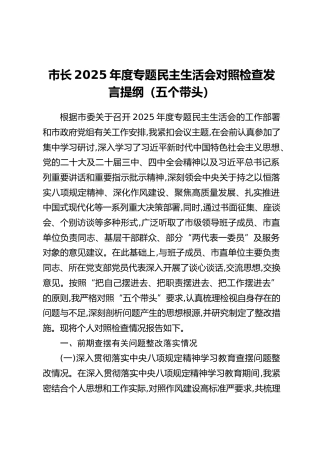 市长2025年度专题民主生活会对照检查发言提纲（五个带头）