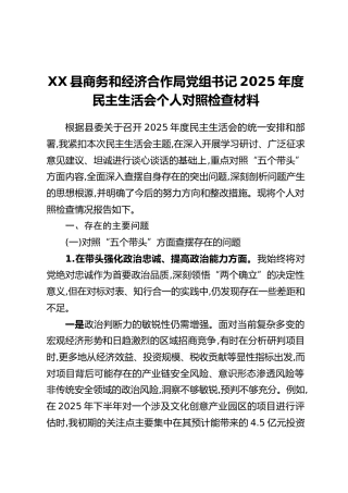 XX县商务和经济合作局党组书记2025年度民主生活会个人对照检查材料