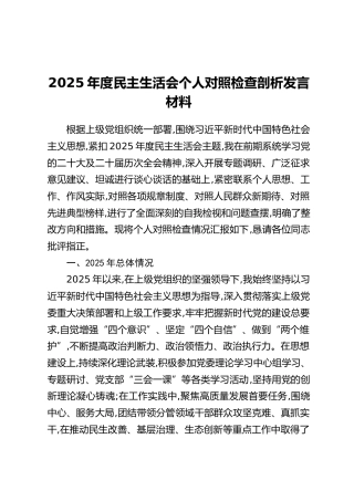 2025年度民主生活会个人对照检查剖析发言材料