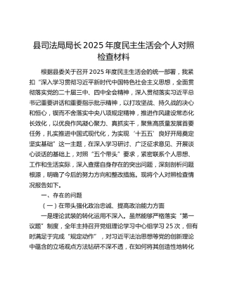 县司法局局长2025年度民主生活会个人对照检查材料（五个带头+典型案例剖析）