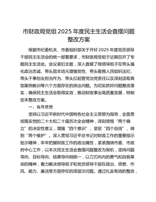 市财政局党组2025年度民主生活会查摆问题整改方案