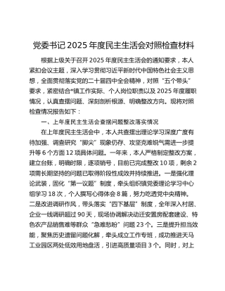 党委书记2025年度民主生活会对照检查材料（上年度查摆问题整改落实情况+五个带头+典型案例剖析）