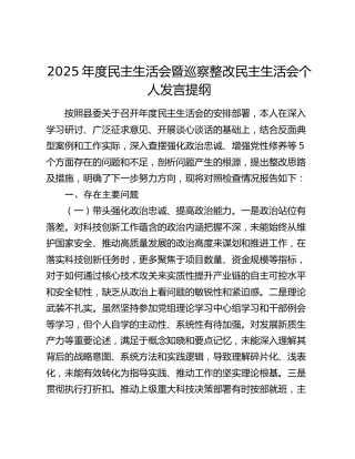 2025年度民主生活会暨巡察整改民主生活会个人发言提纲
