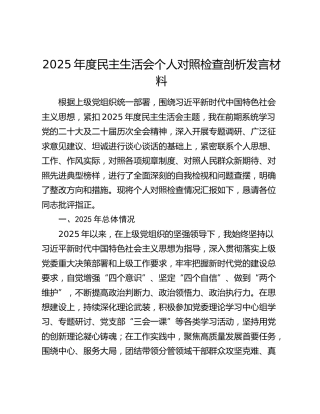 2025年度民主生活会个人对照检查剖析发言材料（五个带头）