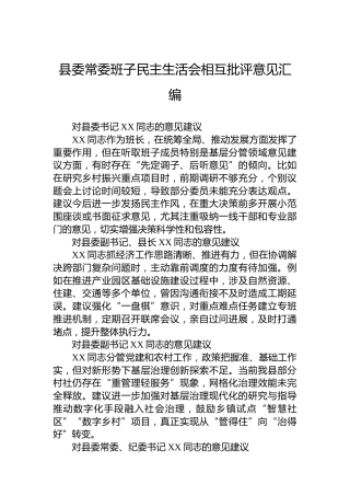 县委常委班子民主生活会相互批评意见汇编