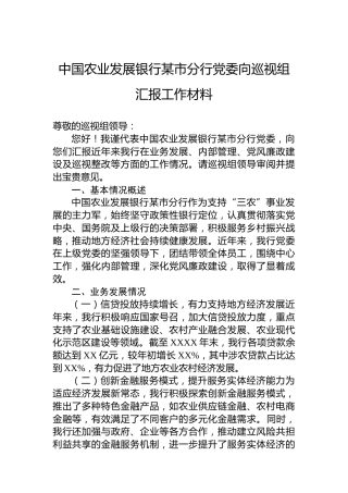 中国农业发展银行某市分行党委向巡视组汇报工作材料