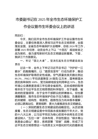 市委副书记在2025年全市生态环境保护工作会议暨市生环委会议上的讲话