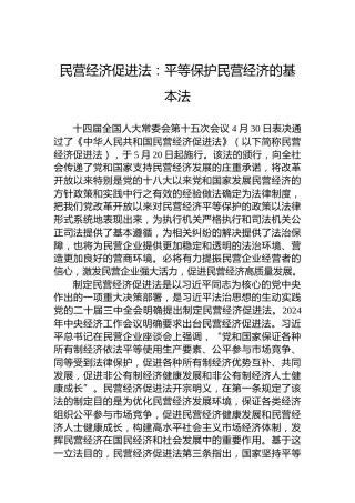 民营经济促进法：平等保护民营经济的基本法