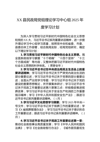 XX县民政局党组理论学习中心组2025年度学习计划
