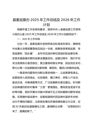 县巡察办2025年工作总结及2026年工作计划
