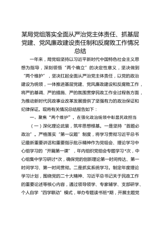 某局党组主体责任、抓基层党建、党风廉政建设责任制和反腐败工作情况总结