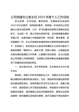 公司党建办公室主任2025年度个人工作总结-