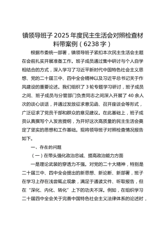 镇领导班子2025年度民主生活会对照检查材料带案例