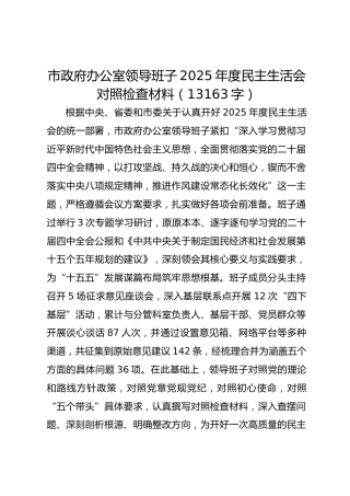 市政府办公室领导班子2025年度民主生活会对照检查材料（