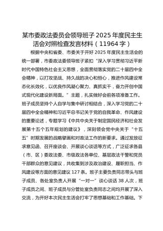 某市委政法委员会领导班子2025年度民主生活会对照检查发言材料（11964字）
