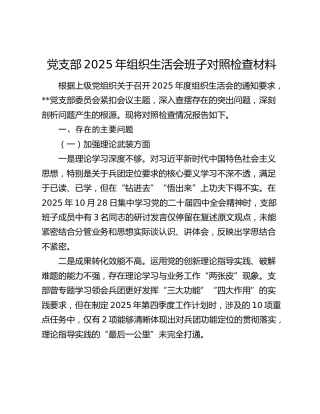 党支部2025年组织生活会班子对照检查