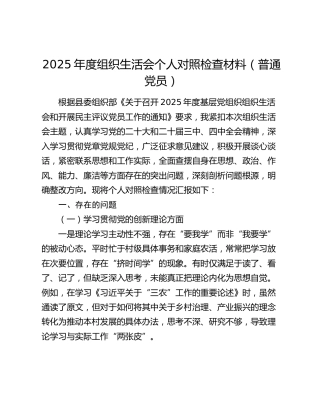 2025年度组织生活会个人对照检查（村）