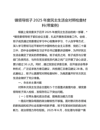 乡镇班子2025年度民主生活会对照检查5