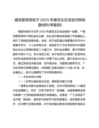 乡镇班子2025年度民主生活会对照检查2