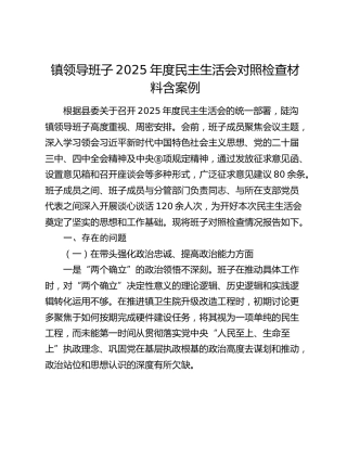 乡镇班子2025年度民主生活会对照检查1
