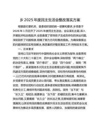 乡镇2025年度民主生活会整改落实方案