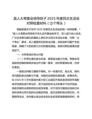 县人大常委会领导班子2025年度民主生活会对照检查