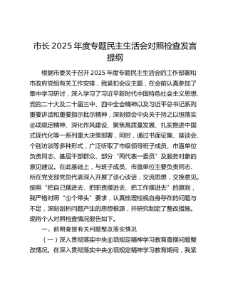 市长2025年度民主生活会对照检查