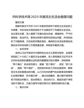 市科学技术局2025年度民主生活会查摆问题整改方案