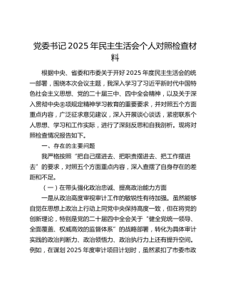 审计系统2025年民主生活会个人对照检查√