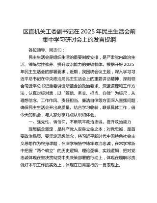 区直机关工委副书记在2025年民主生活会前集中学习研讨会上的发言