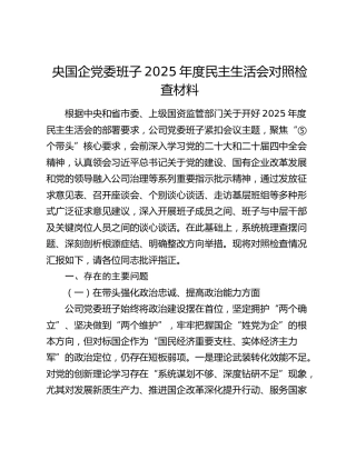国企公司班子2025年度民主生活会对照检查材料