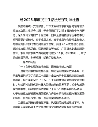 2025年度民主生活会班子对照检查材料（工信商务）