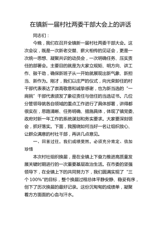 乡镇新一届村社两委干部大会上的讲话