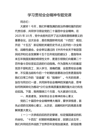 银行学习贯彻四中全会精神专题党课