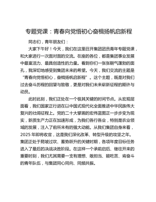 公司团员党课：青春向党悟初心  奋楫扬帆启新程