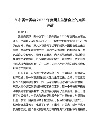 在市委常委会2025年度民主生活会上的点评讲话