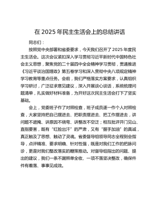 在2025年民主生活会上的总结讲话