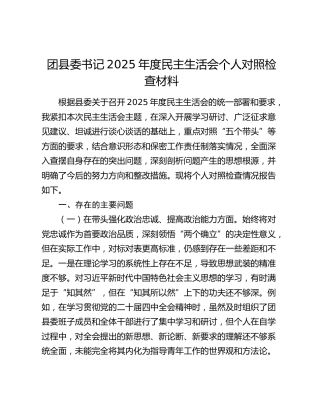 团县委书记2025年度民主生活会个人对照检查材料（五个带头+典型案例剖析）