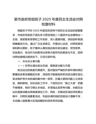某市政府党组班子2025年度民主生活会对照检查材料（五个带头）