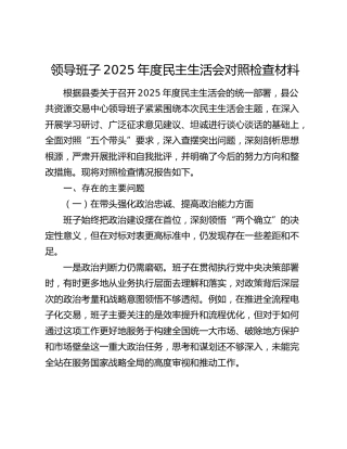 领导班子2025年度民主生活会对照检查材料（五个带头+典型案例剖析）