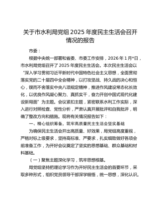 关于市水利局党组2025年度民主生活会召开情况的报告
