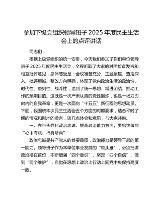 参加下级党组织领导班子2025年度民主生活会上的点评讲话