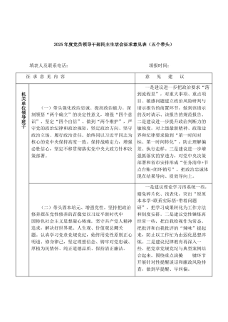 2025年度党员领导干部民主生活会征求意见表（五个带头）