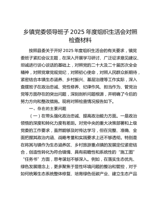 乡镇党委领导班子2025年度组织生活会对照检查材料（五个带头）