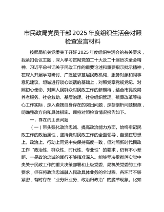 市民政局党员干部2025年度组织生活会对照检查发言材料（五个带头）