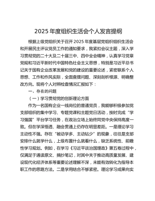 2025年度组织生活会个人发言提纲（五个方面）
