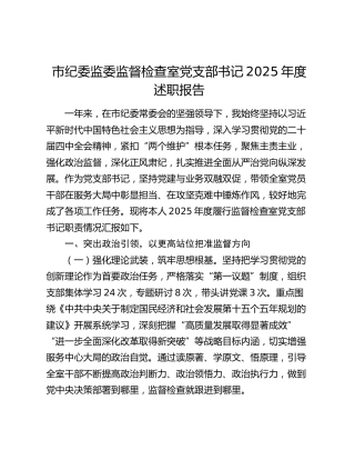 市纪委监委监督检查室党支部书记2025年度述职报告