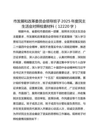 市发展和改革委员会领导班子2025年度民主生活会对照检查材料（12220字）
